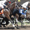 How to Bet on Horse Races? Simple Guide For Beginners