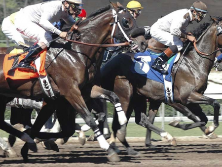 How to Bet on Horse Races? Simple Guide For Beginners